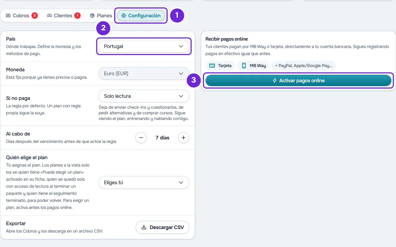 La pestaña Configuración con la fila País y la tarjeta Recibir pagos online con el botón Activar pagos online.